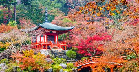 japan (6).jpeg