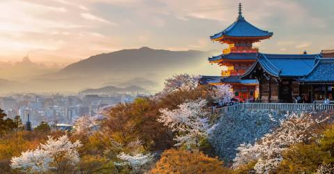 japan (8).jpeg