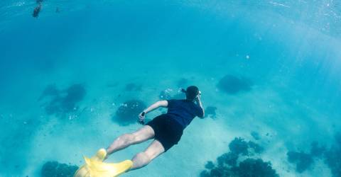 jd snorkel ningaloo.jpg