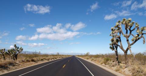 Route 66 med bil