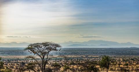samburu (5).jpeg
