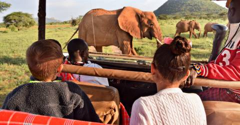 samburu (6).jpeg