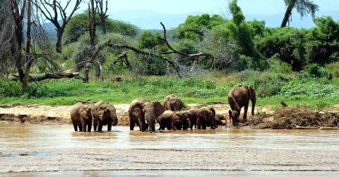 samburu (7).jpeg