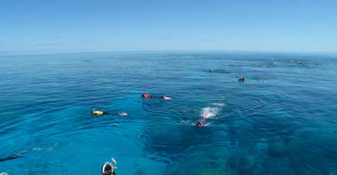 Sydney, Rock and Reef