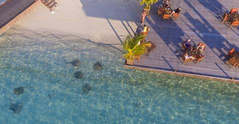 sun siyam vilu reef surroundings (11).jpg