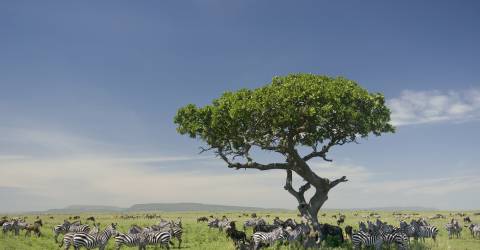 tanzania (10).jpeg
