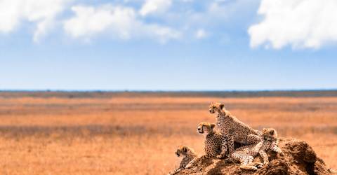 tanzania (12).jpeg