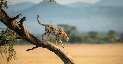 tanzania (14).jpeg