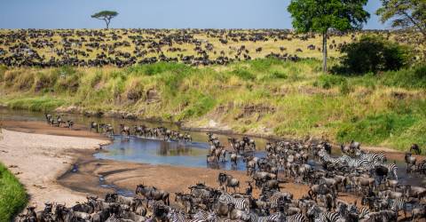 tanzania (15).jpeg