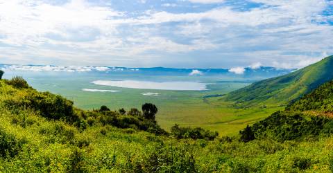 tanzania (2).jpeg