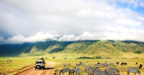 tanzania (3).jpeg