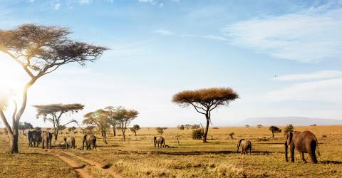 tanzania (6).jpeg