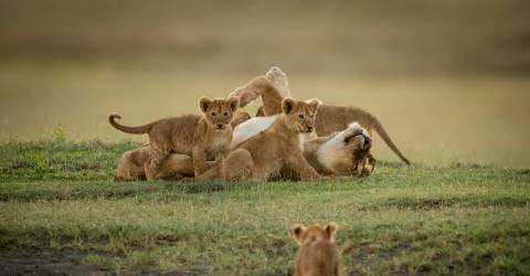 tanzania (8).jpeg