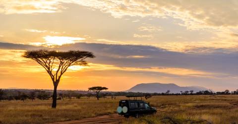 tanzania (9).jpeg