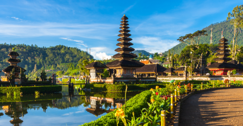 rejser til bali