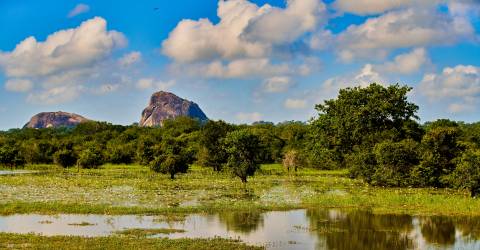 yala np sri lanka (6).jpeg