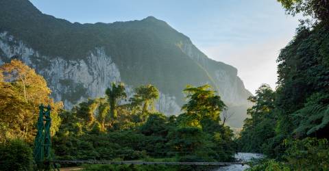 Borneo (2).jpeg