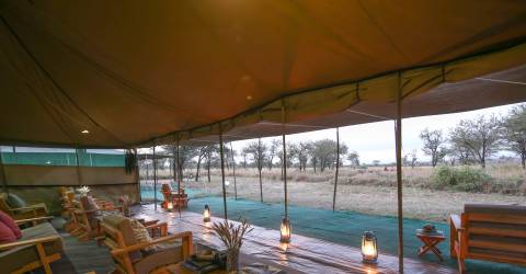 MyPlanet-Tanzania Tours-Central Serengeti Hotels-Serengeti Wilderness Camp-MessTent02.jpg