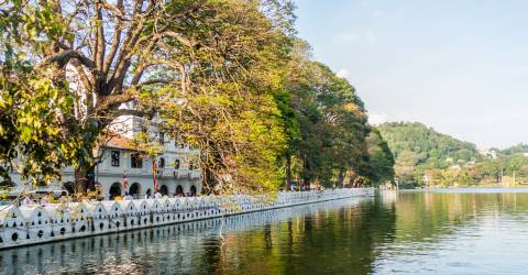 Kandy (1).jpeg