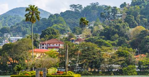 Kandy (2).jpeg