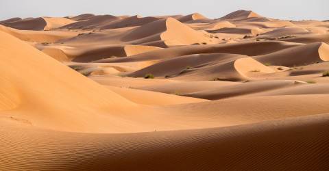 Oman roadtrip (4).jpeg