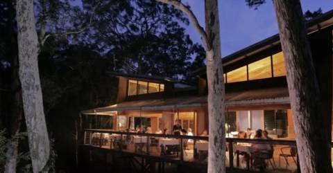 Paperbark Camp