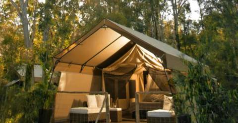 Paperbark Camp