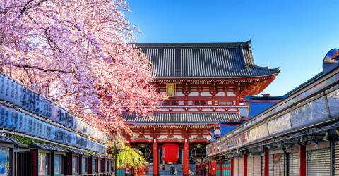 Sensoji temple (1).jpeg