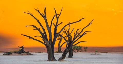 Sossusvlei (2).jpeg