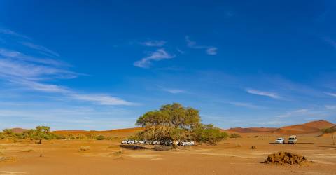 Sossusvlei (3).jpeg