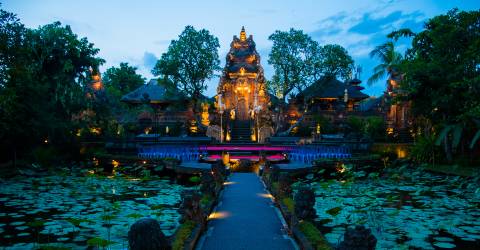 Ubud Bali (4).jpeg