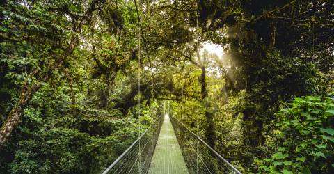 costa rica roundtrip (7).jpeg