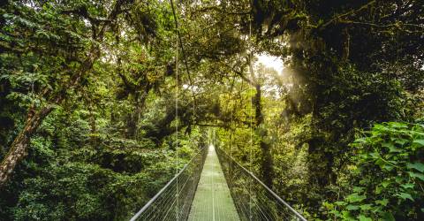 costa rica roundtrip (7).jpeg