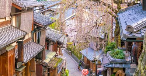 kyoto streets (2).jpeg