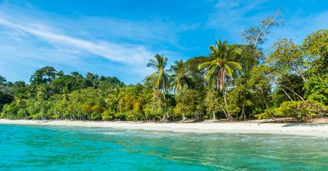 manuel antonio (1).jpeg