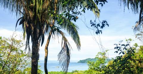 manuel antonio (5).jpeg