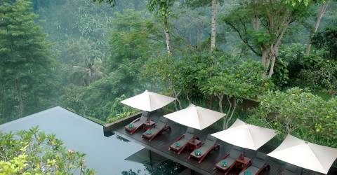 maya ubud 4.jpg