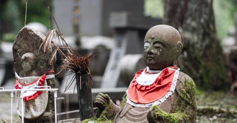 mount koya (1).jpeg