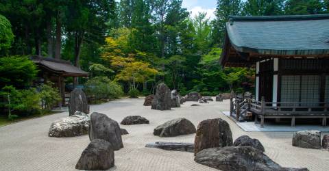 mount koya (2).jpeg