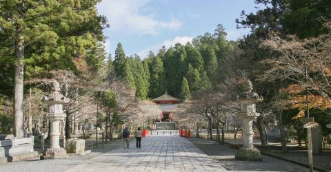 mount koya (4).jpeg