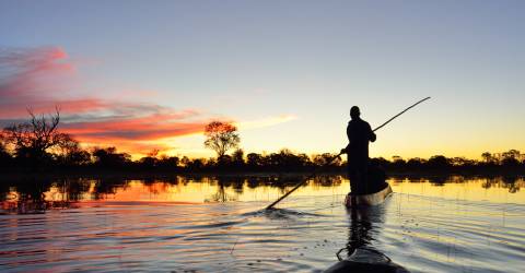 okavango (3).jpeg