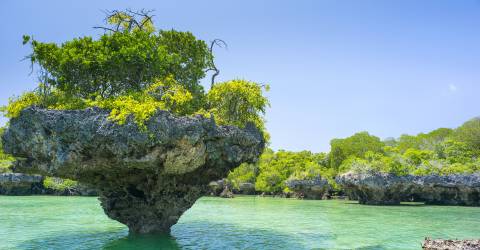 zanzibar (10).jpeg