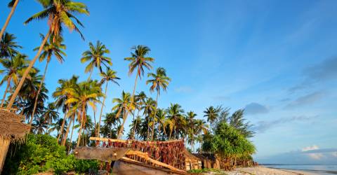 zanzibar (11).jpeg
