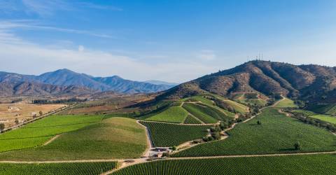 Chile: Sjöarna och vinområdena