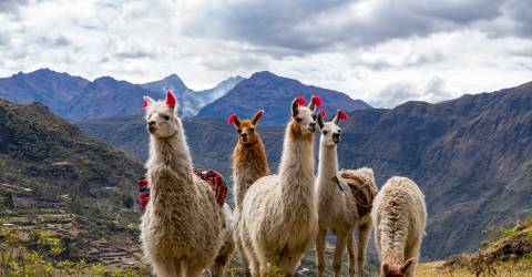 Peru: Bergen, sjöarna och Inkaleden