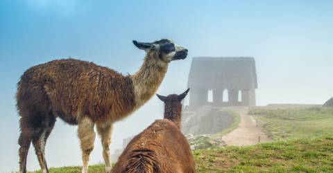 Peru: Bergen, sjöarna och Inkaleden
