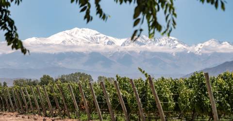 Mendoza, Argentina