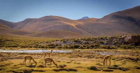 Stjärnskådning i Chile och Patagonien