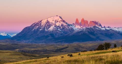 Stjärnskådning i Chile och Patagonien