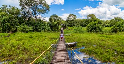 Brasilien: Imponerende vandfald, Pantanal og Amazonas